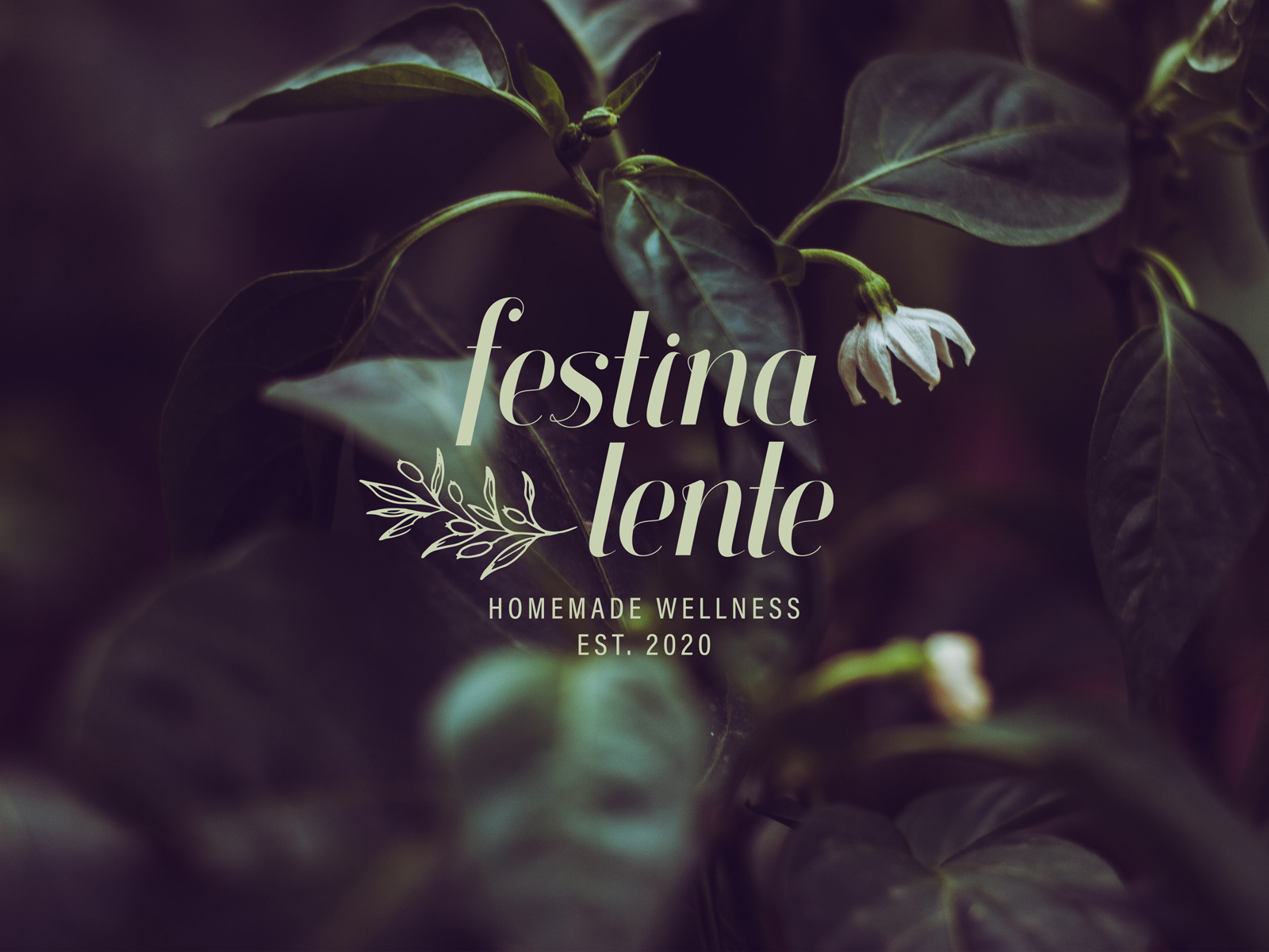 FestinaLente_Logodesign_01